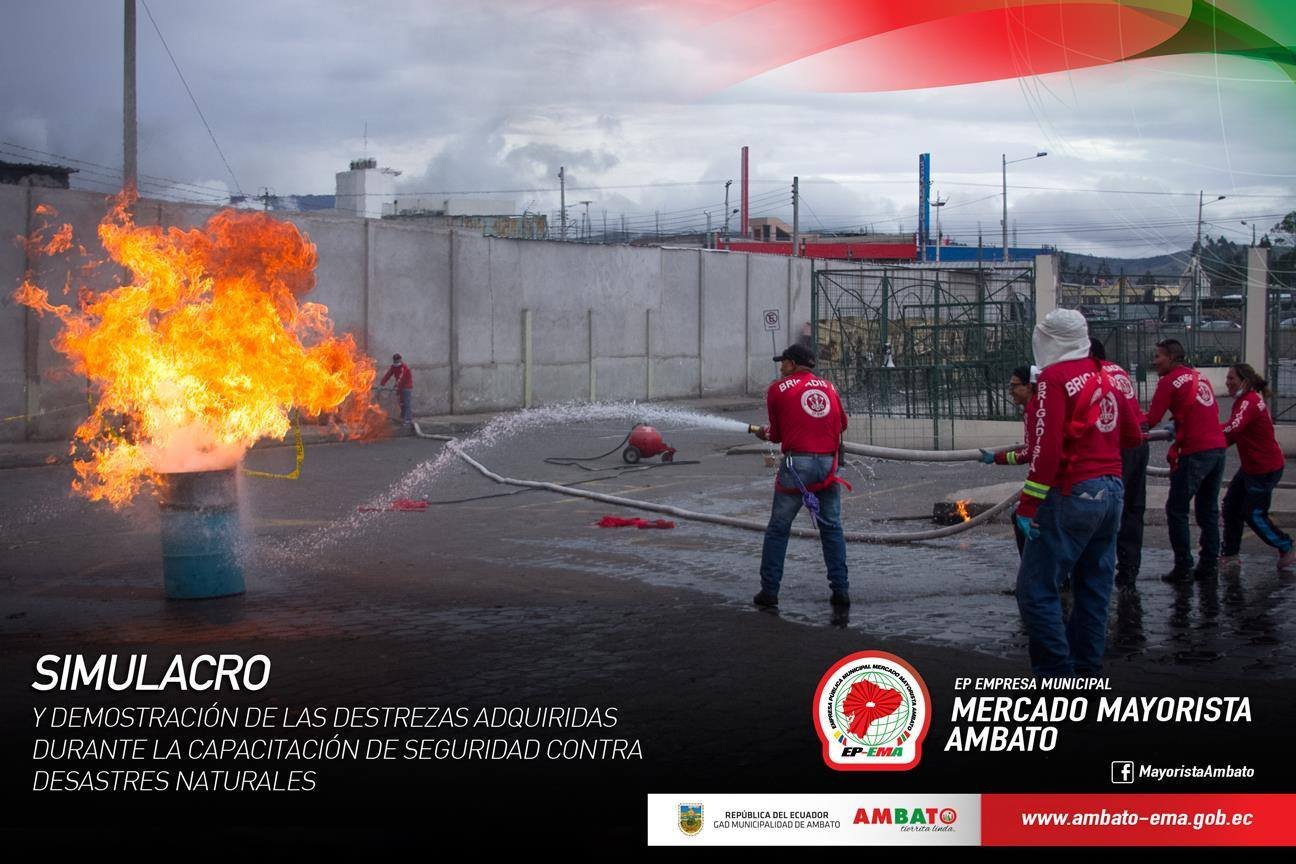 Proyecto 19